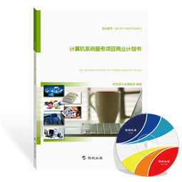 计算机系统服务项目商业计划书